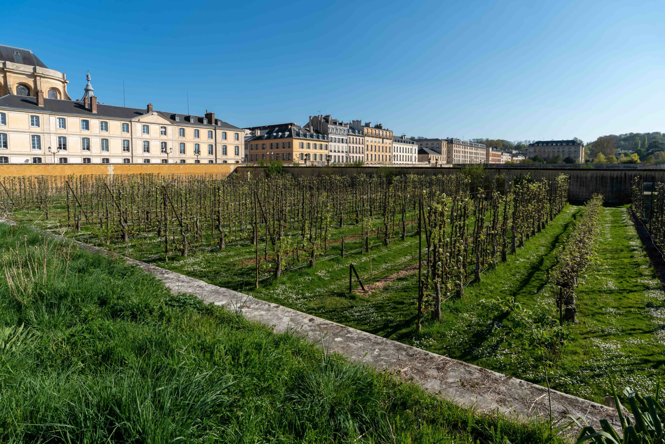 Une année au Potager du Roi