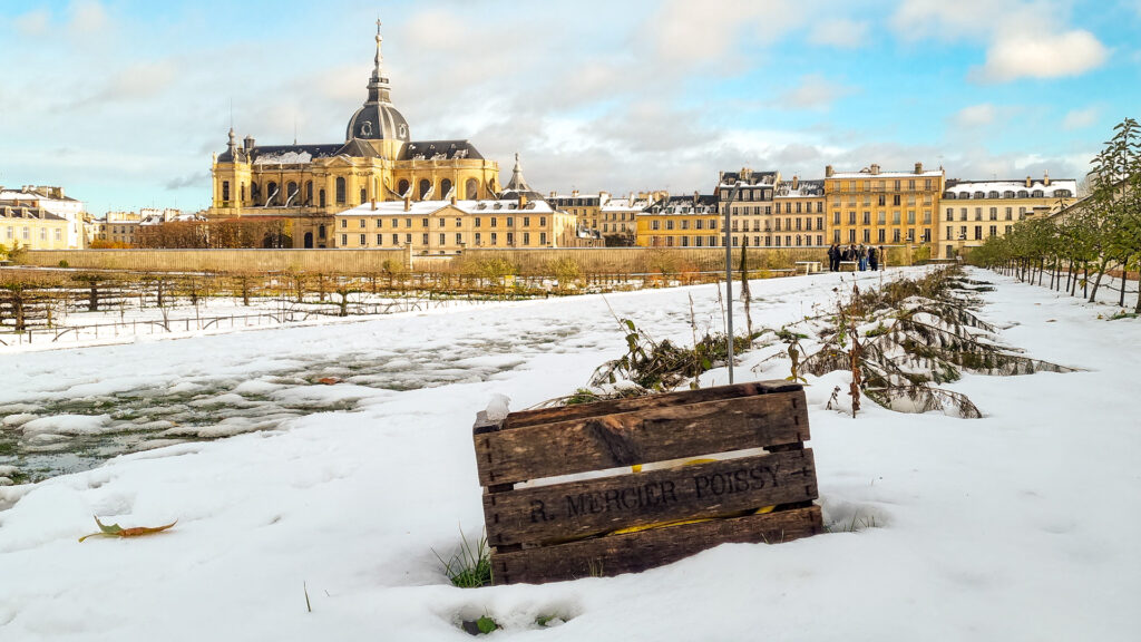 Jour de neige sur le Potager du Roi à Versailles (novembre 2024)